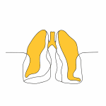 Lung Health Testing Services