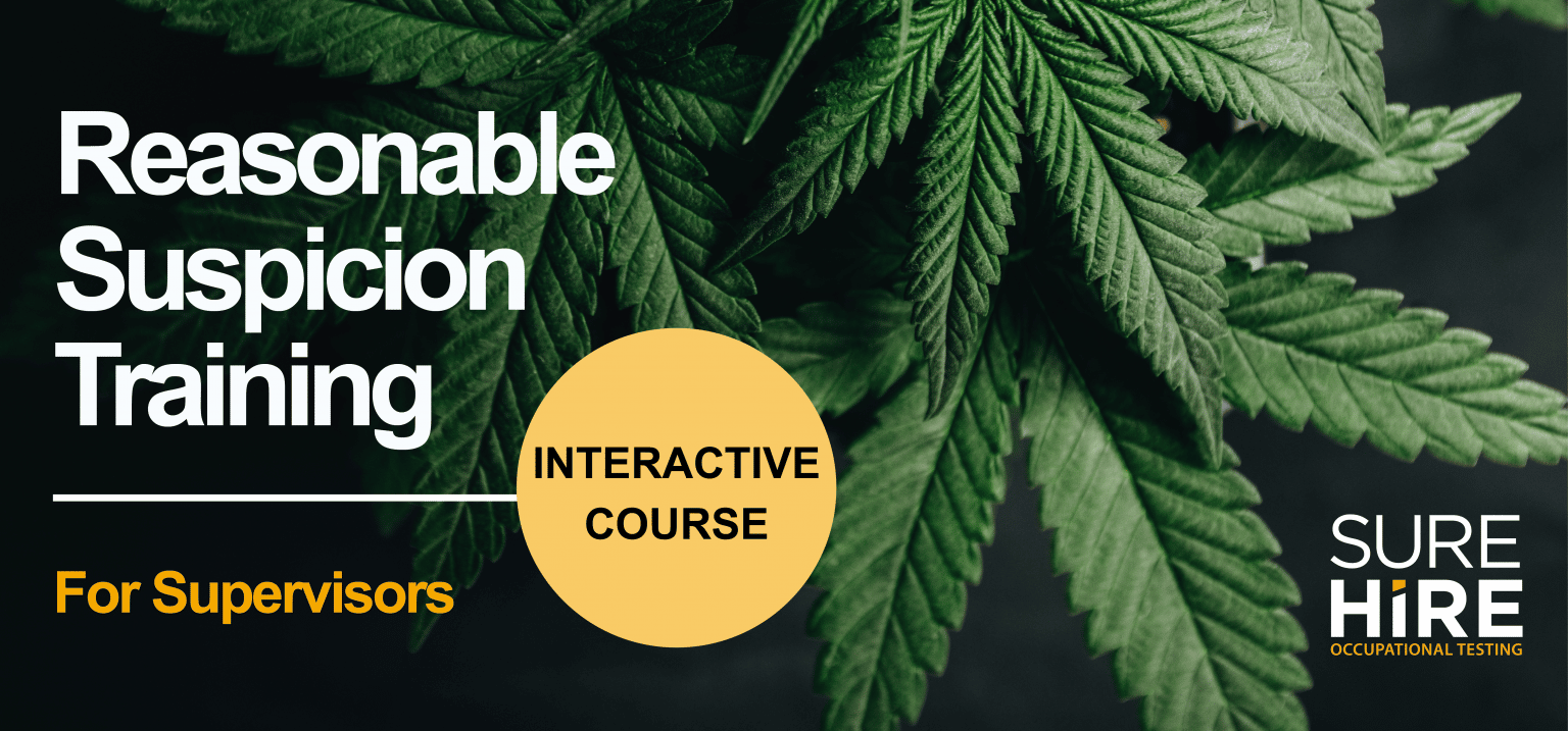 SureHire Drug, Alcohol, Fitness & Health Testing in North America