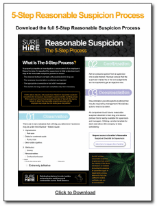 5 Step Process Download