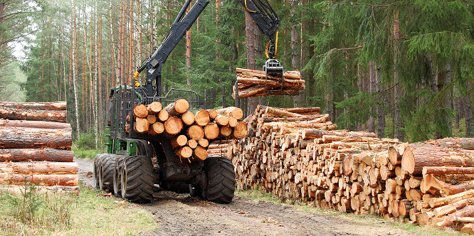 Learn safety training requirements for forestry and agriculture workers so you can mitigate risk and ensure a safe work environment.