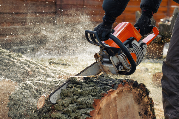 Chainsaw Operator Safety
